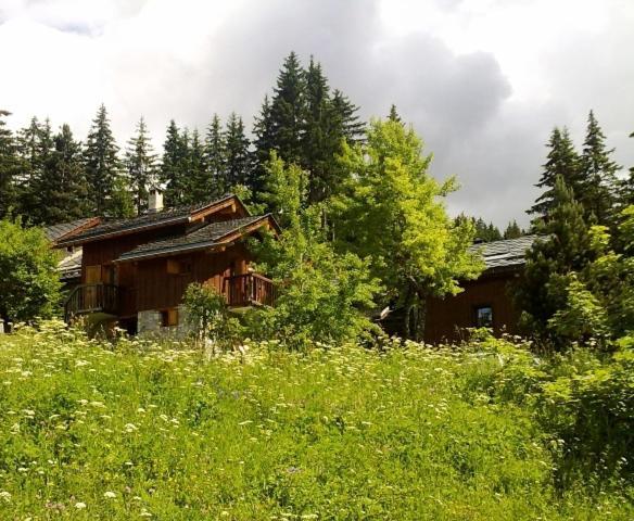 Altitude1600 6 Personnes En Pleine Nature Au Milieu Des Pistes (adults Only) Chalet Meribel